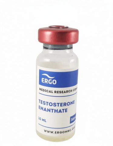 ERGO TESTOSTERONE ENANTATE 300MG/ML - ЦЕНА ЗА 10МЛ
