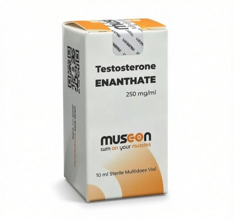MUSC-ON TESTOSTERONE ENANTHATE 250mg/ml - ЦЕНА ЗА 10 мл