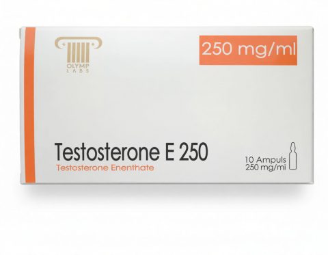 OLYMP TESTOSTERONE E 250 (08.2025 ПРОСРОК) 250мгмл - цена за 10 ампул