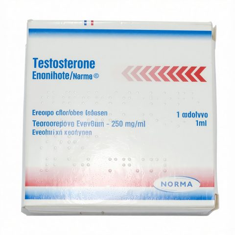 TESTOSTERONA ENANTHATE (ТЕСТОСТЕРОН ЭНАНТАТ) 250MG/ML
