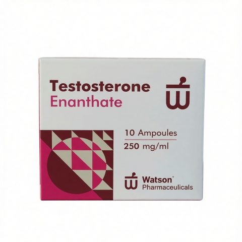 WATSON NEW TESTOSTERONE ENANTHATE 250mg/ml - ЦЕНА ЗА 10 ампул