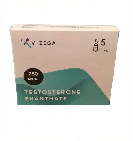 VIZEGA TESTOSTERONE E 250MGML - цена за 5 ампул.