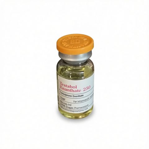 BD TESTABOL ENANTHATE - 250 250mg/ml- ЦЕНА ЗА 10МЛ