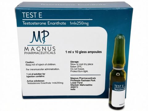 MAGNUS TEST E 250мг/мл - цена за 10 ампул.