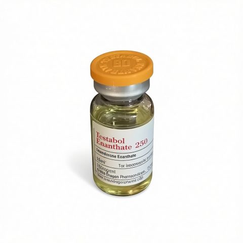 BD TESTABOL ENANTHATE - 250 (БЕЗ КОДА) 250mg/ml - ЦЕНА ЗА 10МЛ